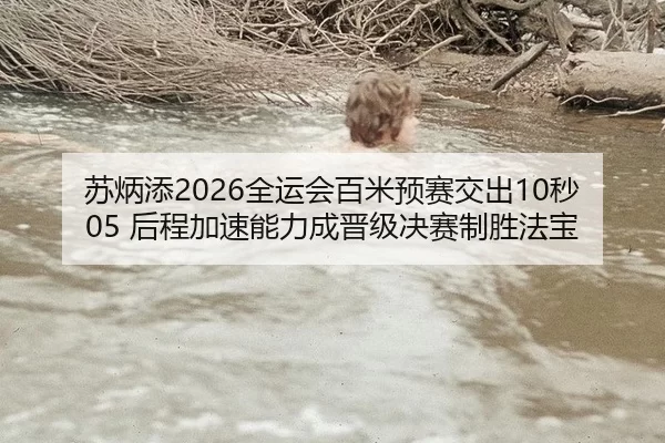 苏炳添2026全运会百米预赛交出10秒05 后程加速能力成晋级决赛制胜法宝